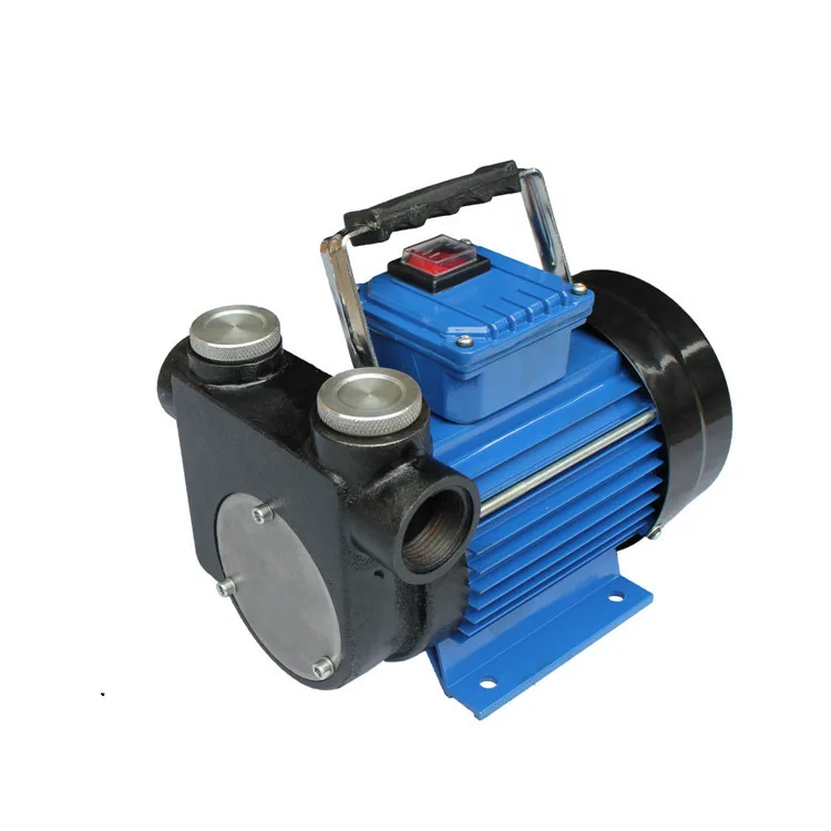 220V fuel transfer pump/diesel/kerosene/high flow oil pump/AC 110V/12/24V