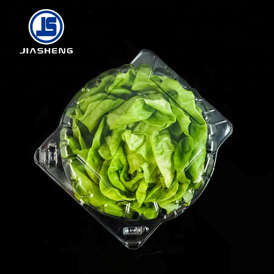 High quality Food grade Clear PET plastic clamshell lettuce packaging