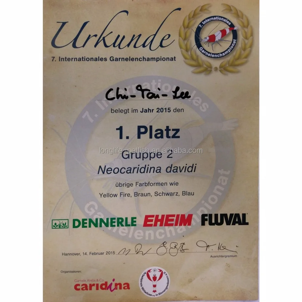 Горячая Распродажа 2018, красная креветка, окрашенная в реальном времени