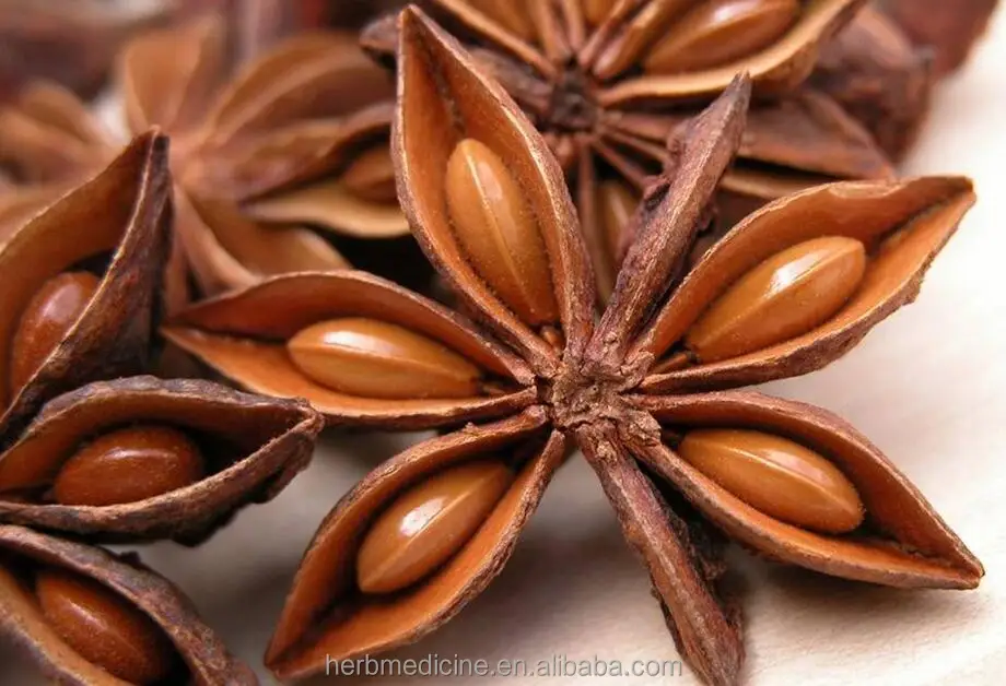 
ANISEED Star Anise seed fruits unselected Fructus Anisi Stellati 