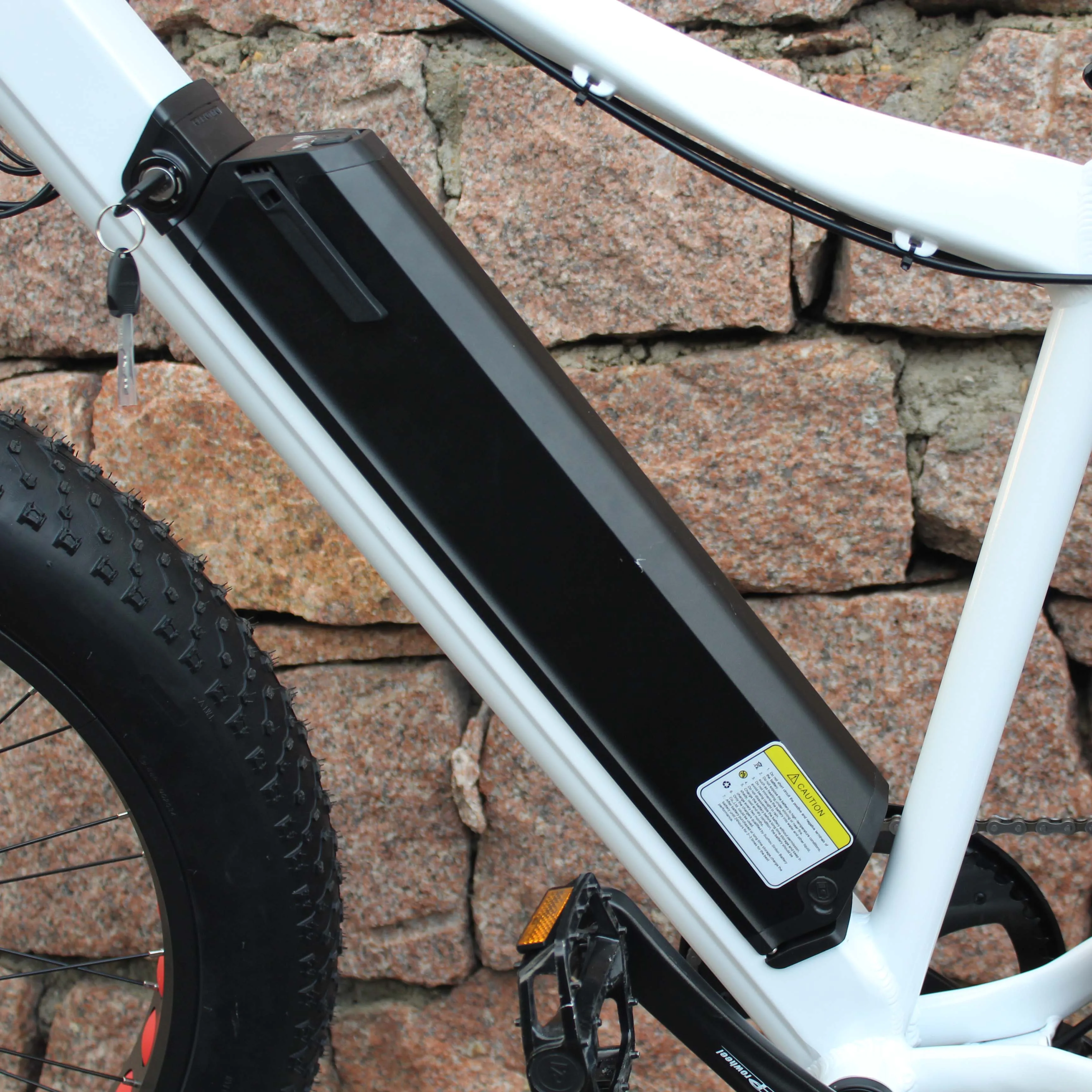 2019 Mofun mountain electron bike mountain electron bicycle MTB fat ebike from China MF-906