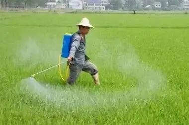 25 KG drum 20% distrilled organic  fermented white  vinegar manufacturer