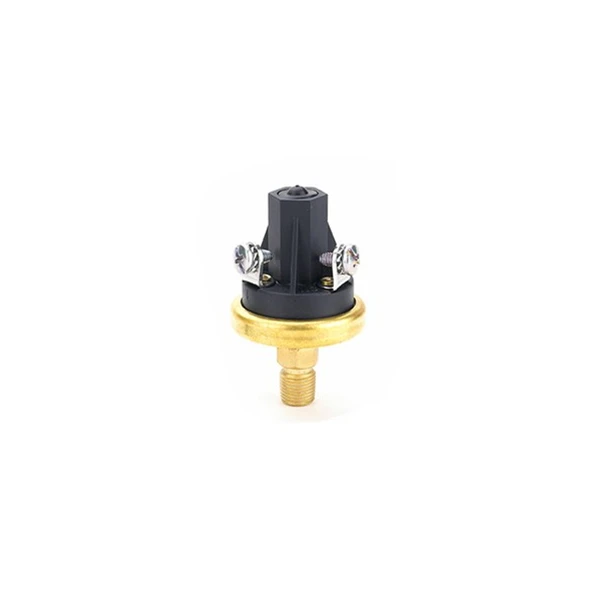 Miniature 250mA 250v -15~800mbar Pressure Switch