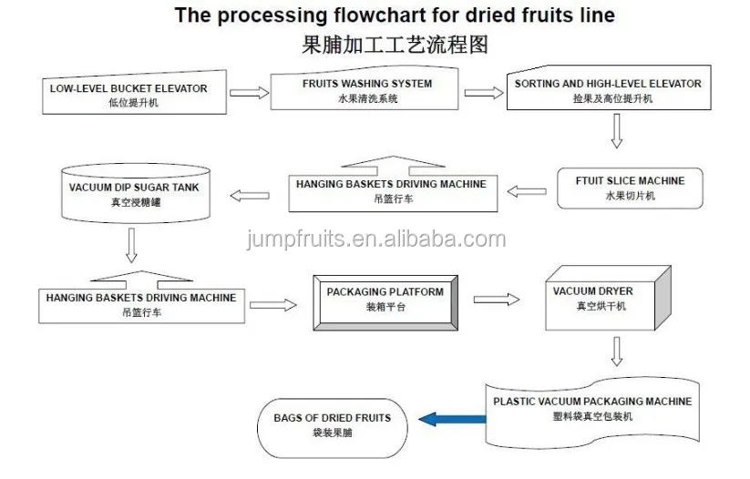Automatic cherry tomato drying equipment