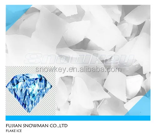 
Snowkey 0.5-60T/Day China Flake Ice Machine 