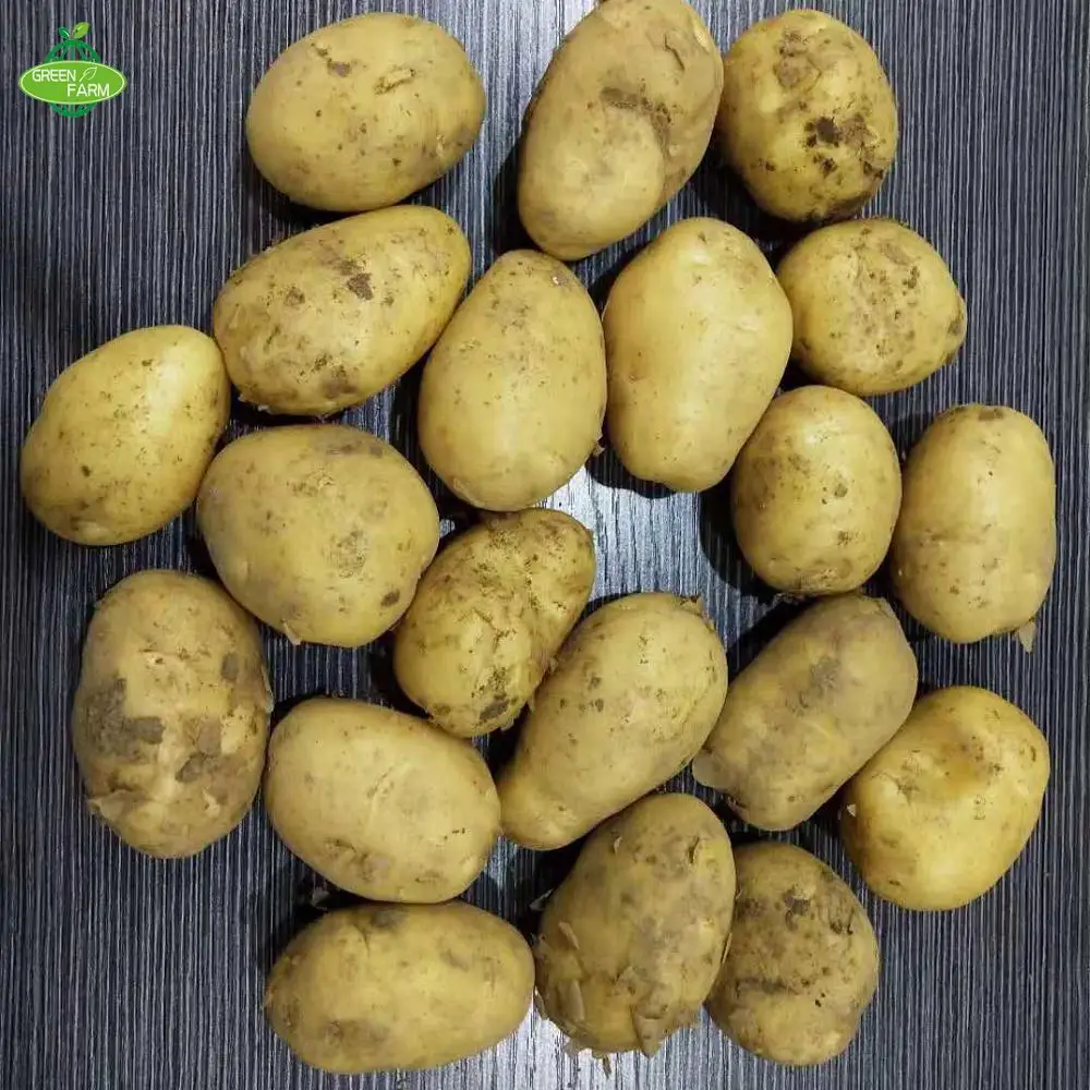 Fresh potato seed,potato seeds for sale