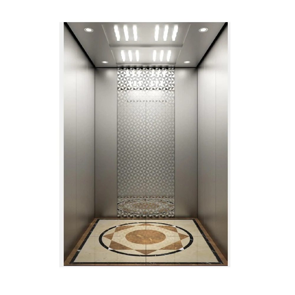 China Manufacturers Screw Drive Passenger Lifts Cabin Hotel Elevator Size
