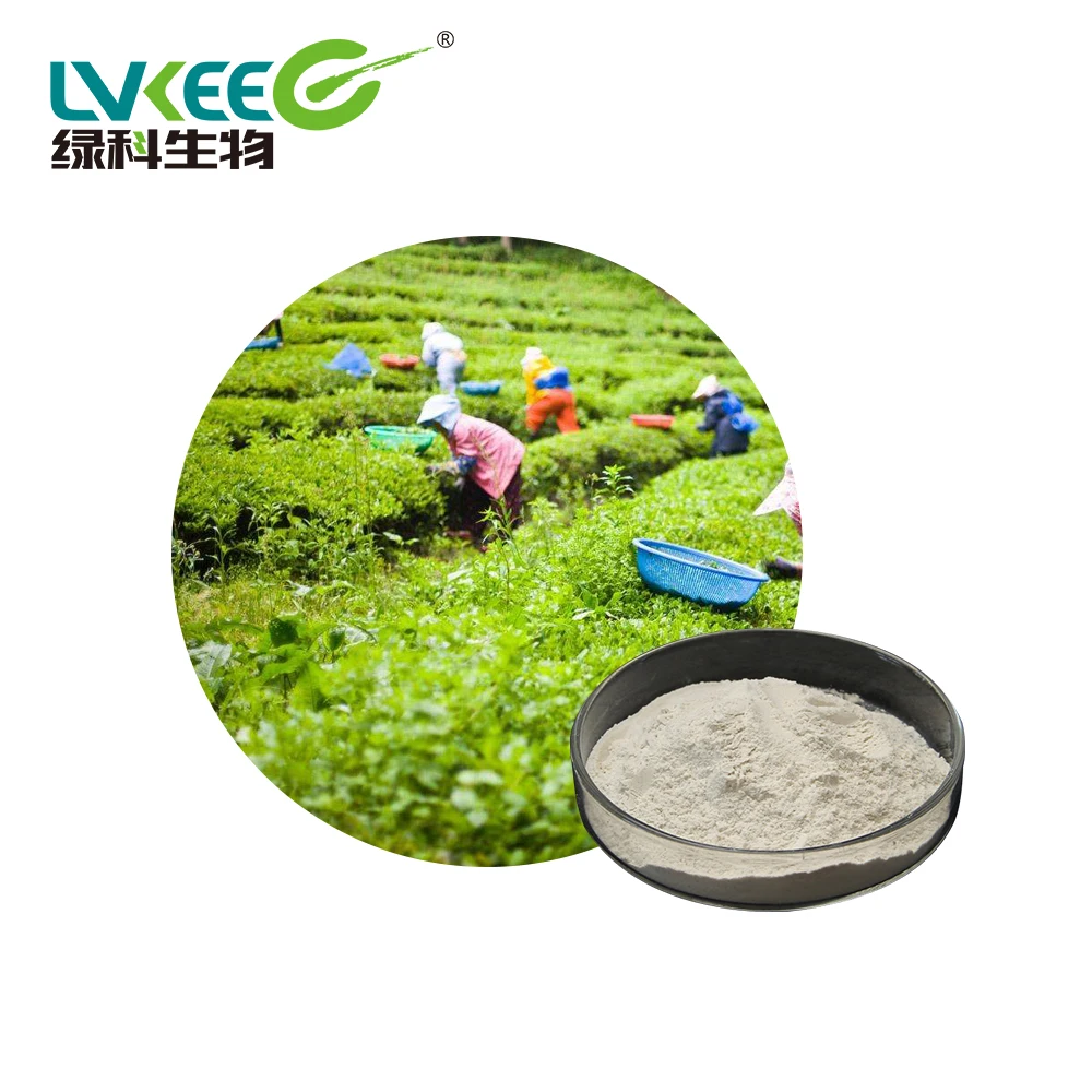Amino Acid Promoter 50BL Organic Bacillus Megaterium powder for aquaculture/Livestock from Lvkee