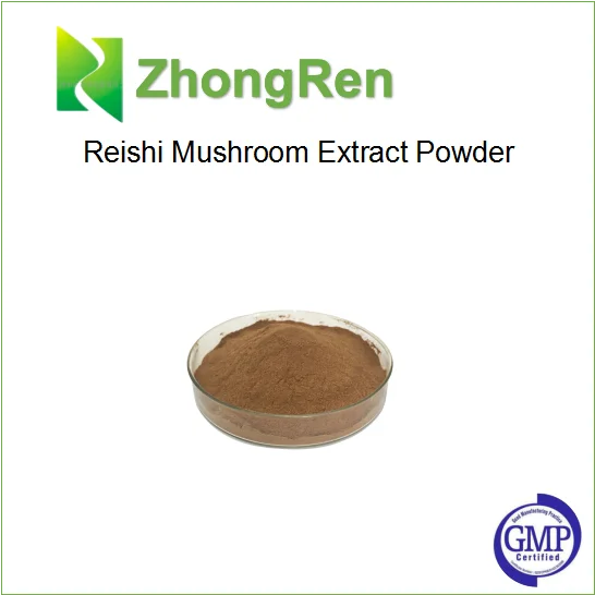 Top quality Ganoderma lucidum extract Reishi Mushroom Extract in stock