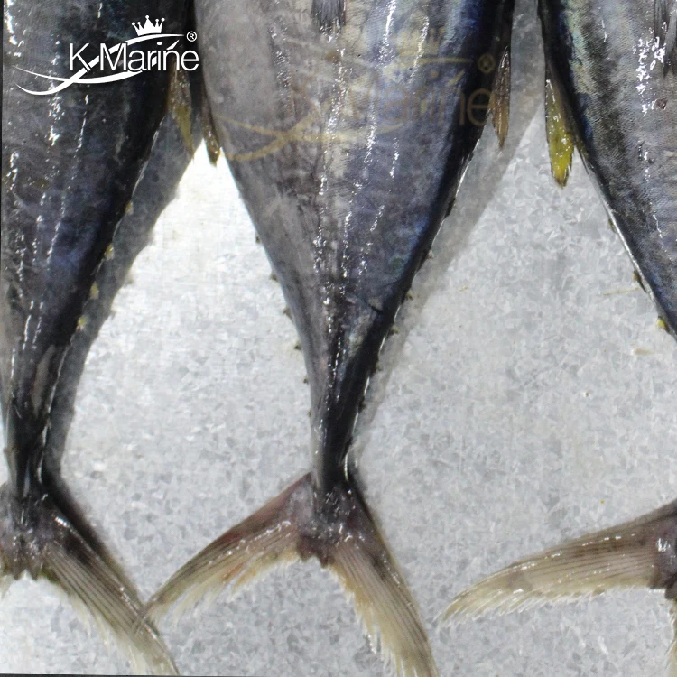 Frozen Light Meat Pouch Tuna Fish Buyers