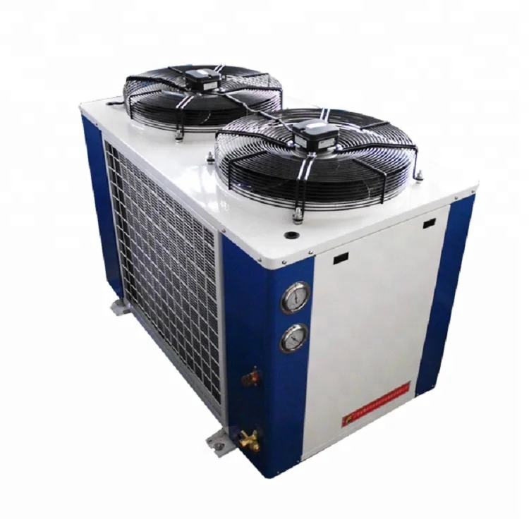 
Hot Sale Customized Size 20ft container freezer 5hp condensing unit DD Evaporator cold storage room price 