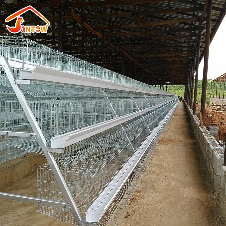 layer chicken cage of poultry equipment for sale in Nigeria Q235 steel galvanized one old day  chicks rearing battery cage