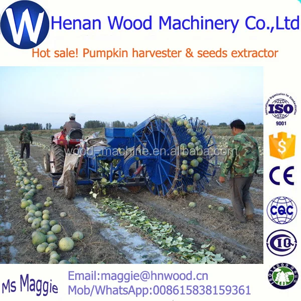 Harvesting+extracting melon seeds extractor/pumpkin seeds processing machine/pumpkin seeds extractor WhatsApp 008615838159361