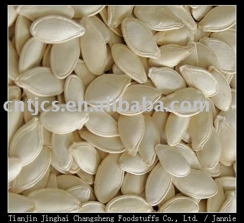 
chinese snow white pumpkin seeds ( squash seeds) 
