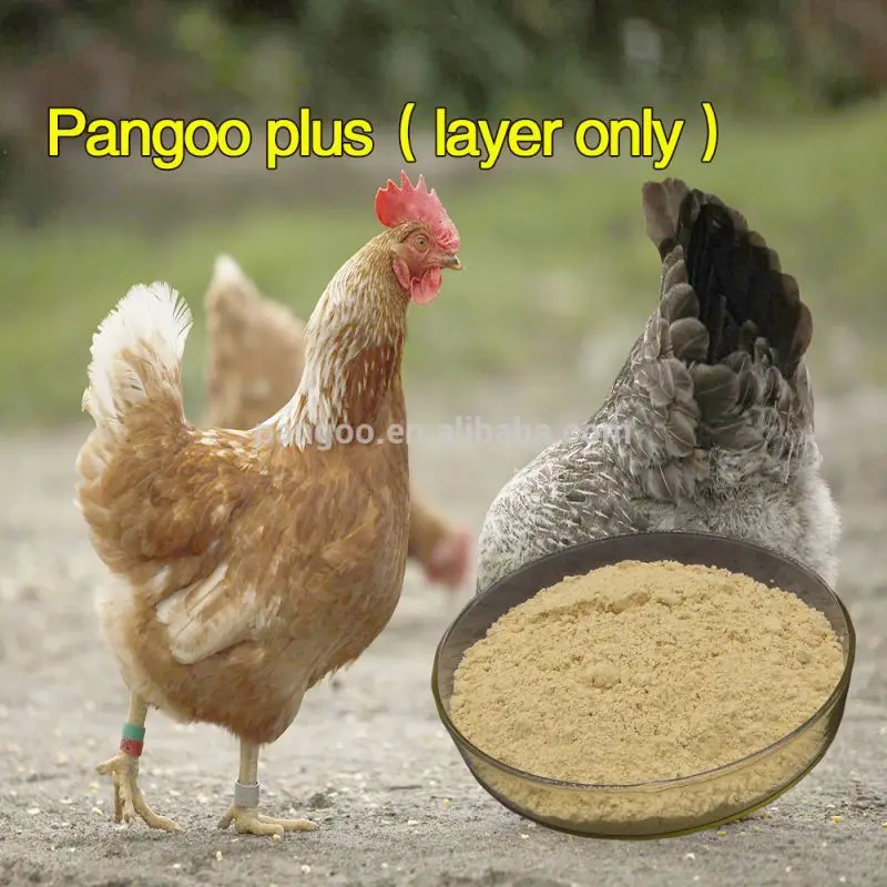 
Layer chicken bio probiotics feeds and feeding 