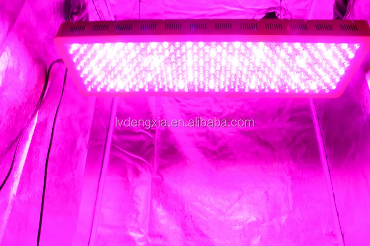 P300 P450 P600 P900 P1200 led grow lights advanced platinum led grow light hydroponic