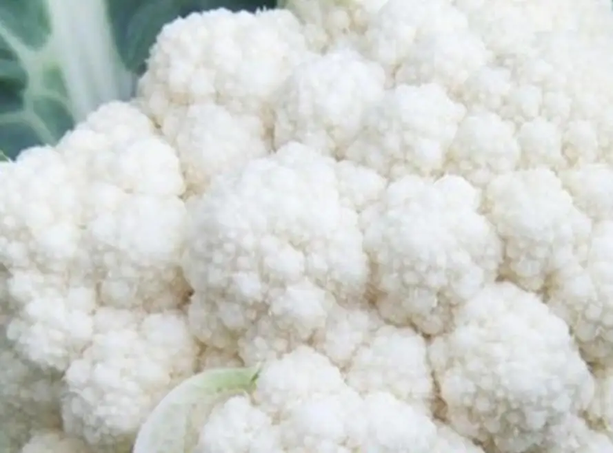 
2000 seeds/bag high quality F1 vegetable Cauliflower seed for planting 