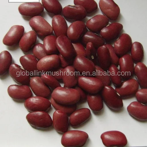 New Crop Red Kidney Beans British red kidney baens