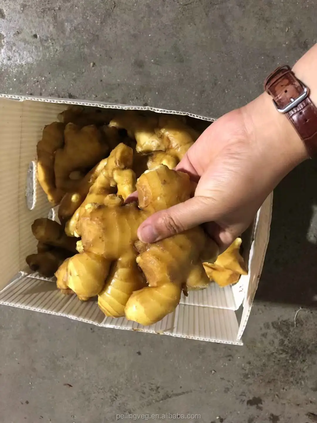 2018 new Dry ginger For America