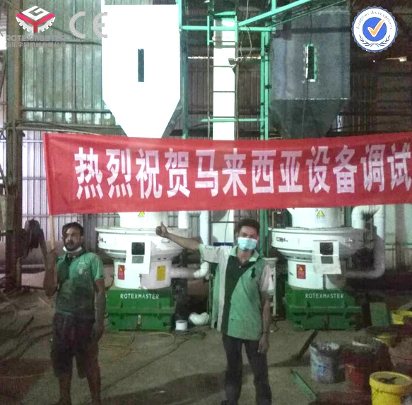 Rotex Master Hot Sale 132kw New Type Industrial Wood Pellet Mill Machine/Wood Pellet Making Machine 6mm Pellets
