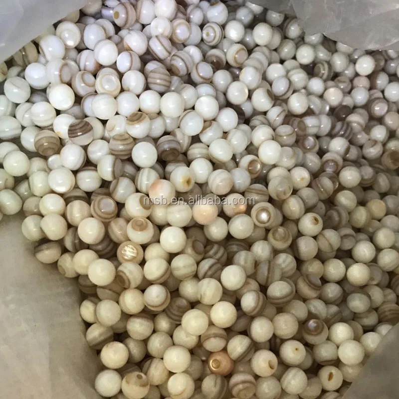 Natural Freshwater Mother Of Pearl Shell Loose Beads For Jewelry Making