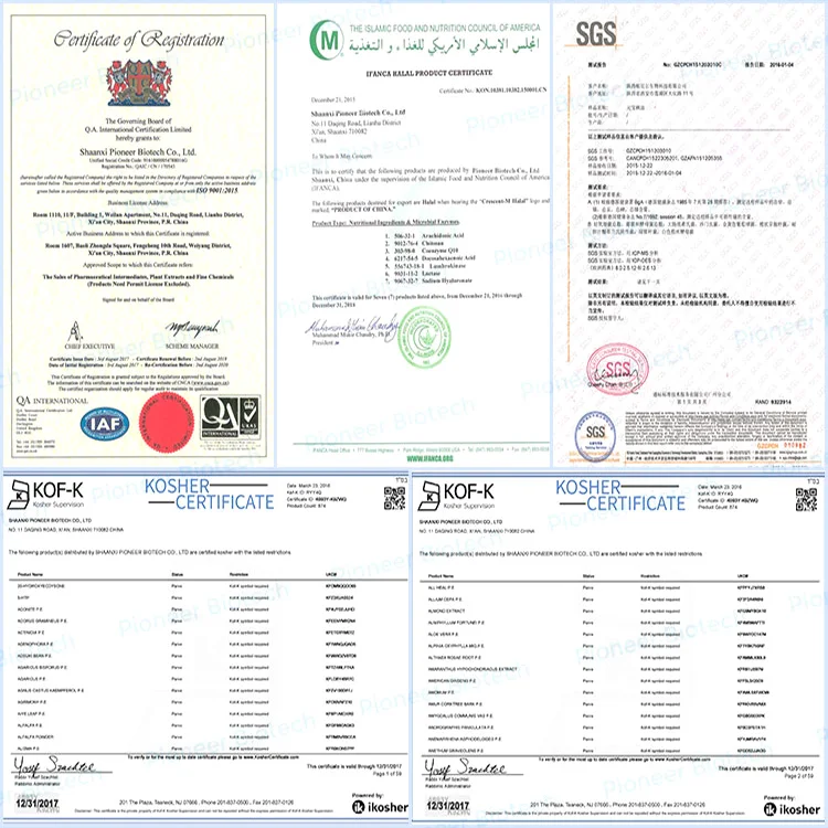 
Bulk Supply CAS 26560-38-3 5-Methyltetrahydrofolate 