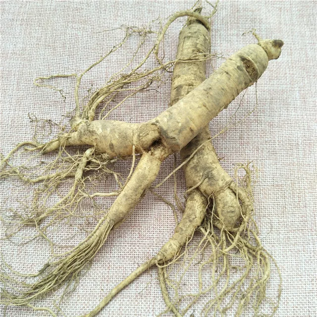 
Ren shen Chinese Natural crude ginseng Tonic Fresh Ginseng Root for sale 