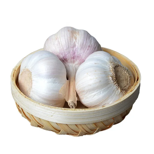 
High quality factory chinese 3p pure white garlic 