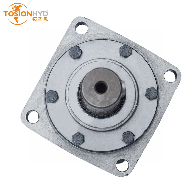 BM5 BM6 BMV/OMV 315/400/500/630/800/1000 Low Speed High Torque Pressure Orbital Hydraulic Motor For Crane Rotation