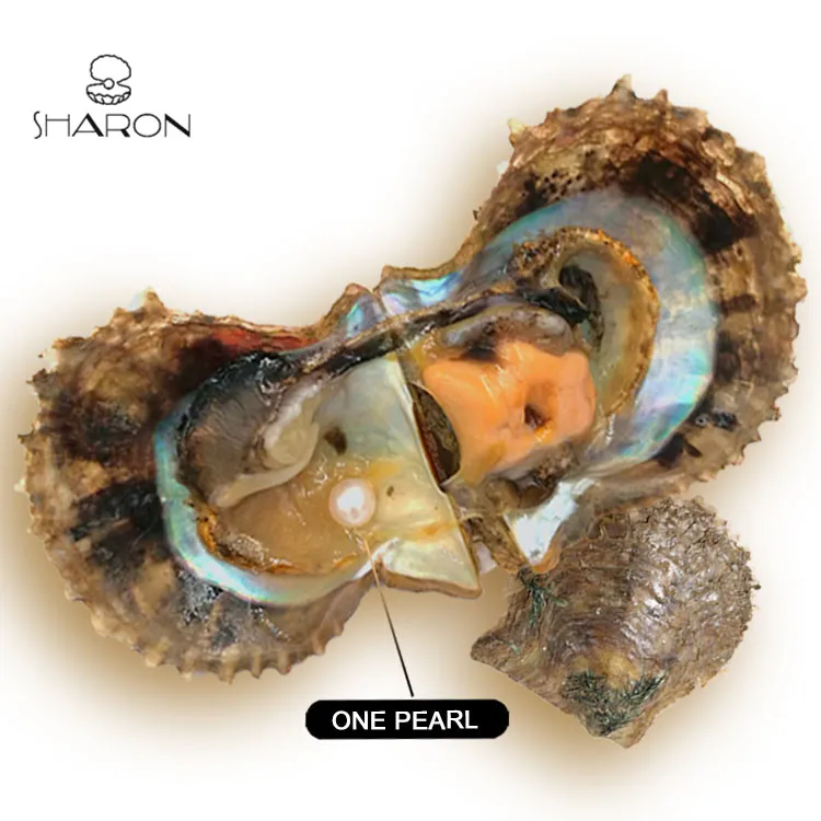 
Bulk Wholesale 7-8mm Akoya Oyster Round Cultured Freshwater Real Sharon Natural Pearls Pearl 