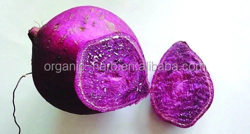 Natural Pigment Purple sweet potato extract