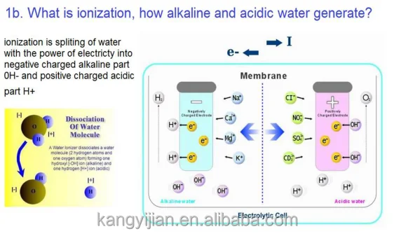 Reduced Ionized mineral-rich Water Dispenser Alkaline Water Ionizer with LCD ORP PH value display
