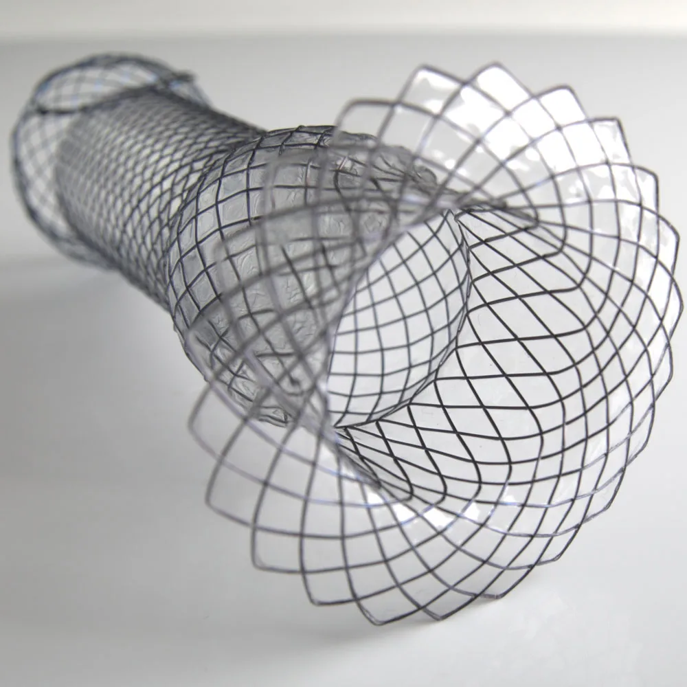 
self expanding nitinol medical cardia stent insertion 