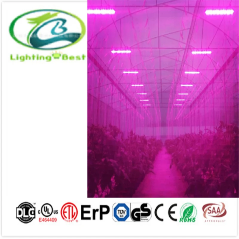 
full spectrum led linear grow lights horticulture lighting greenhouse waterproof 200W LED grow lights for indoor planting 