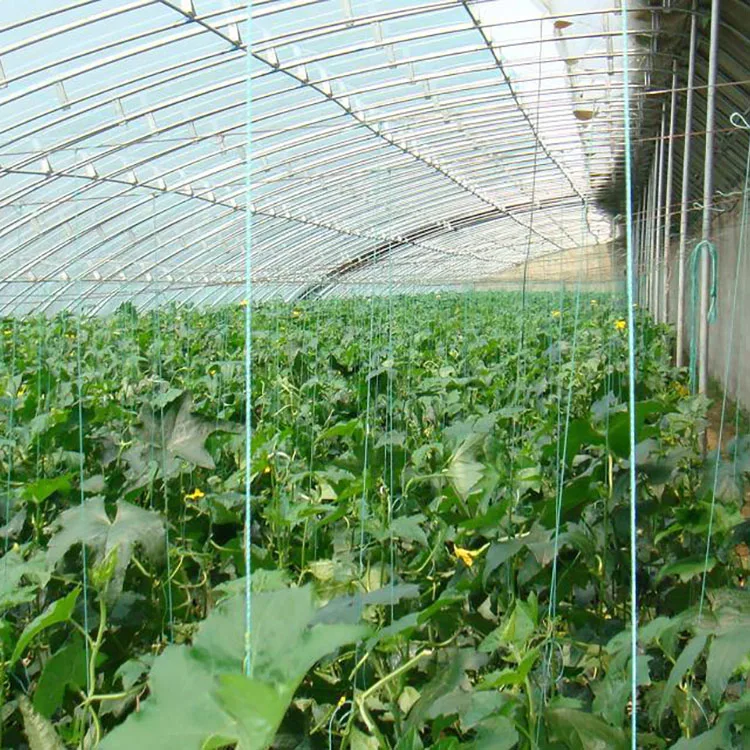 
Commercial used film cover passive chinese solar glass greenhouse 