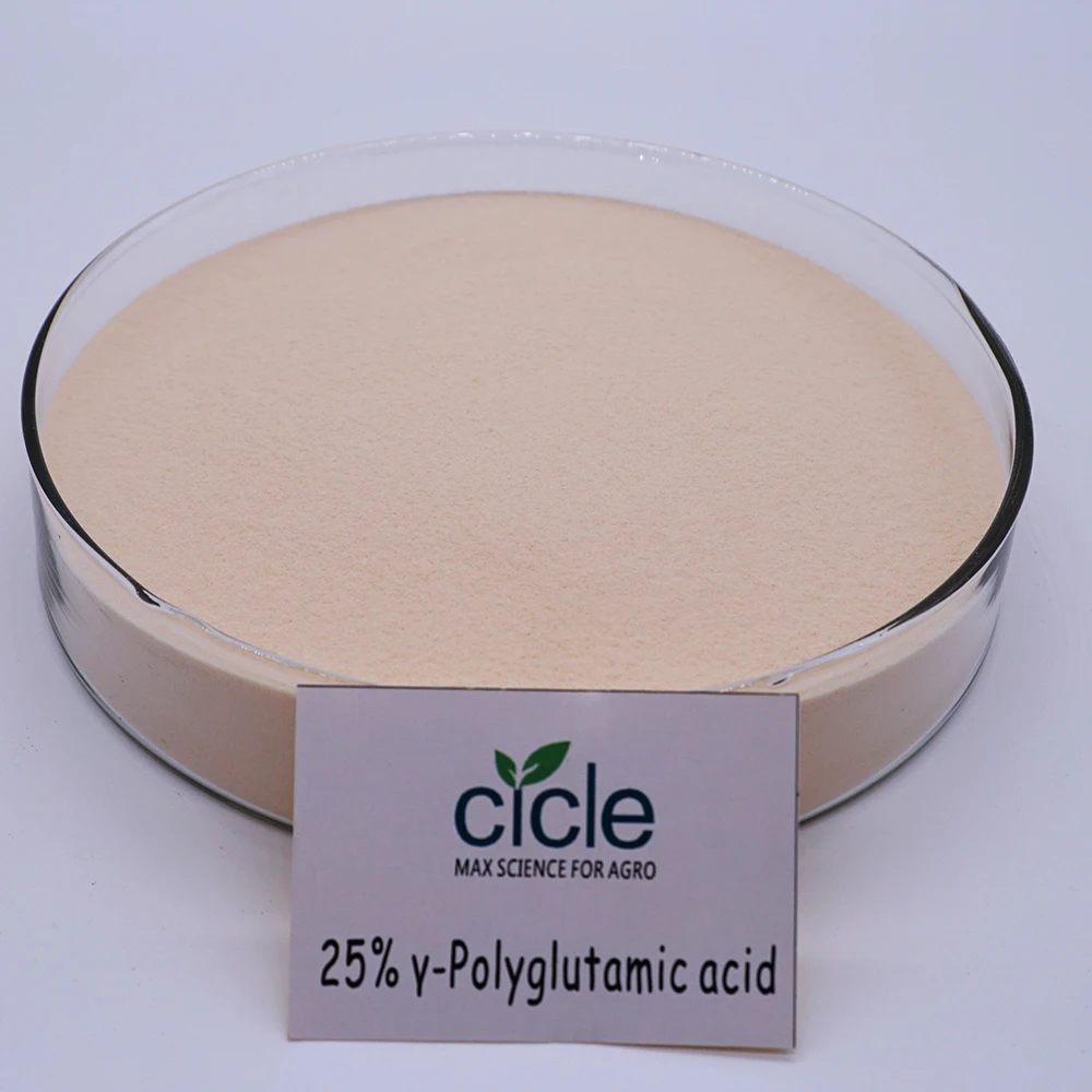 Fertilizer synergist enhance effect POLYGLUTAMIC ACID  PGA agriculture use  apply on rice wheat corn bean vegetable fruits