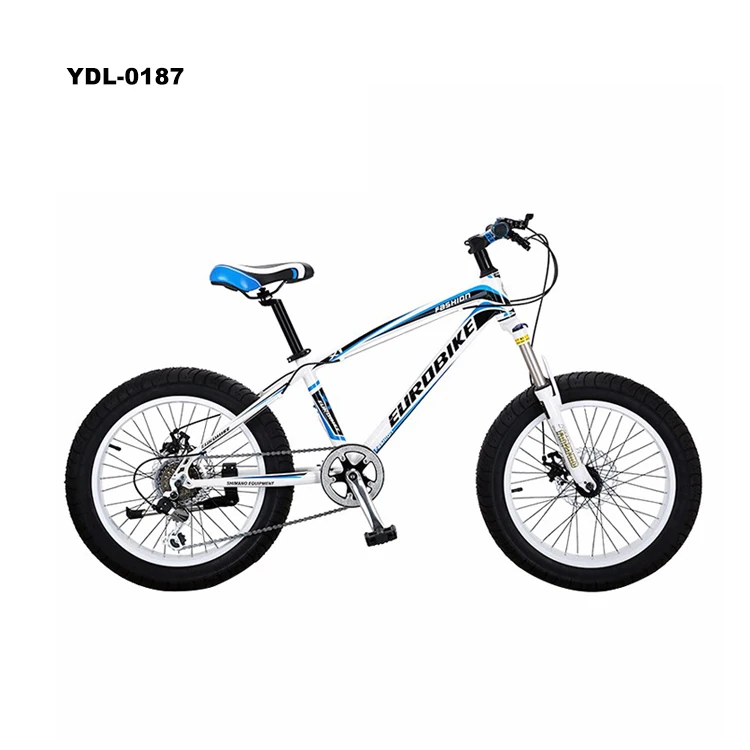Customized Design 20 Inches Mountain Bike Aluminium Alloy Fat Tire Bike Double Disc Brake Snow Bicycle