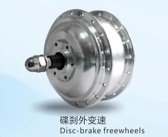 250W High Speed Brushless Front and Rear Drive mxus Electric Bicycle Assist Hall Motor