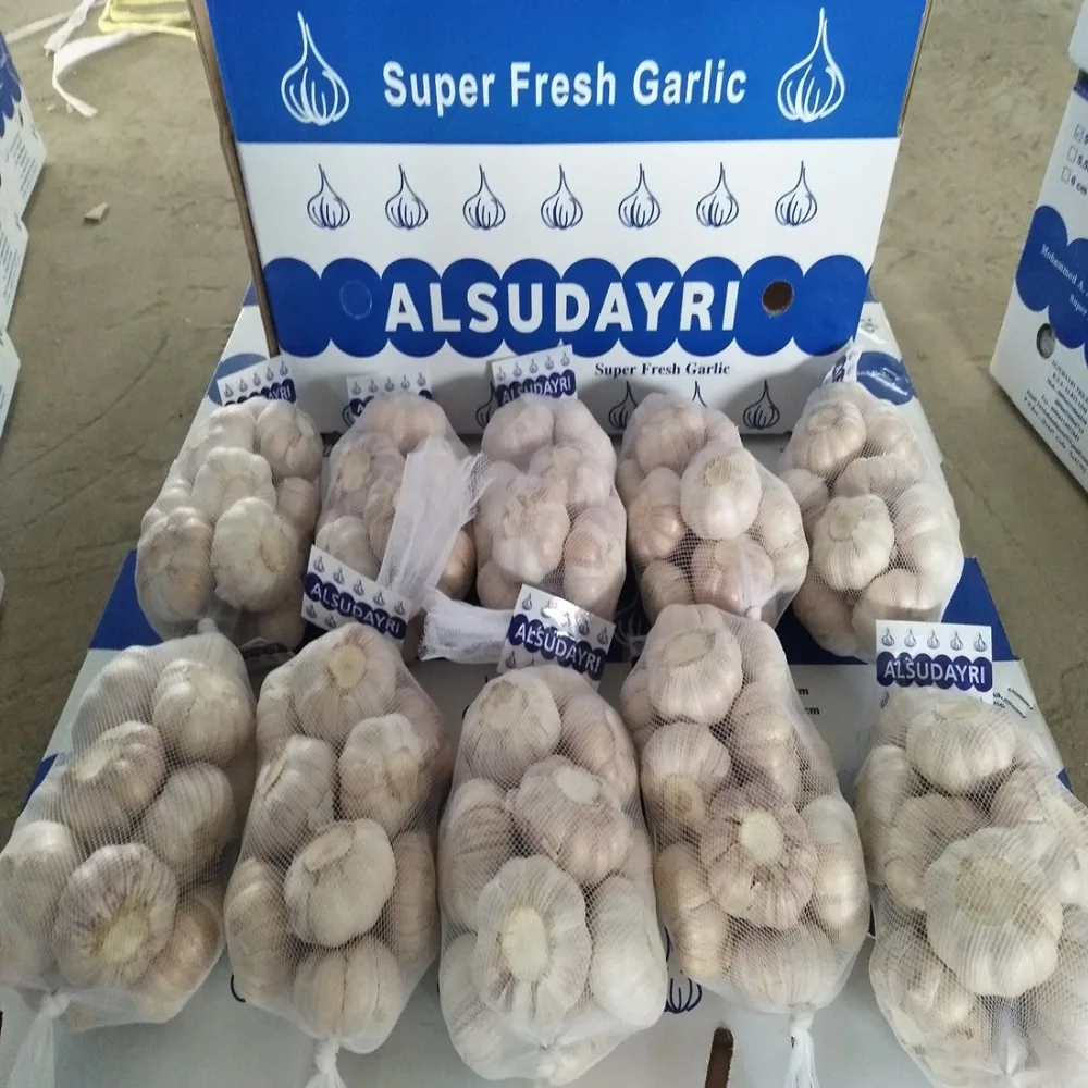 
Shandong pure white garlic 