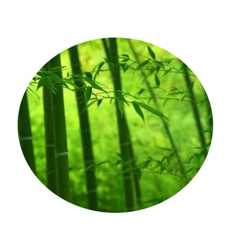 Длинная волокнистая мягкая целлюлоза бамбуковая целлюлоза