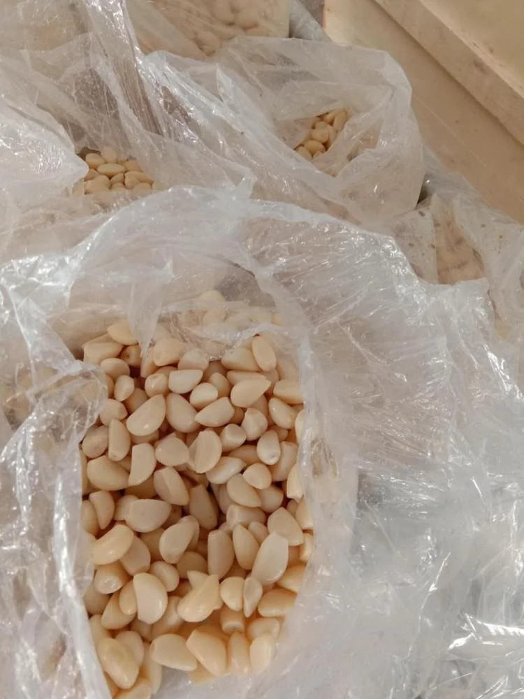 
350-450 pcs/kg Pickled Garlic Cloves In Brine 