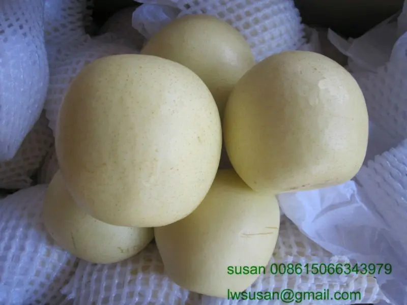 
china crispy golden pear 