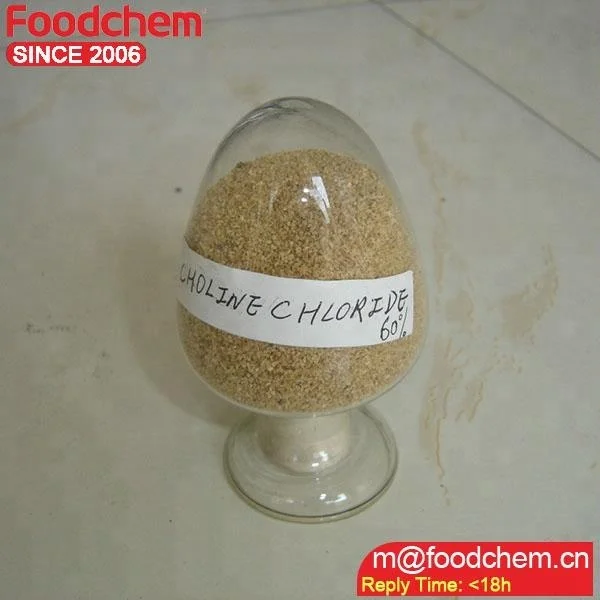 Food Grade choline chloride 60% promotion