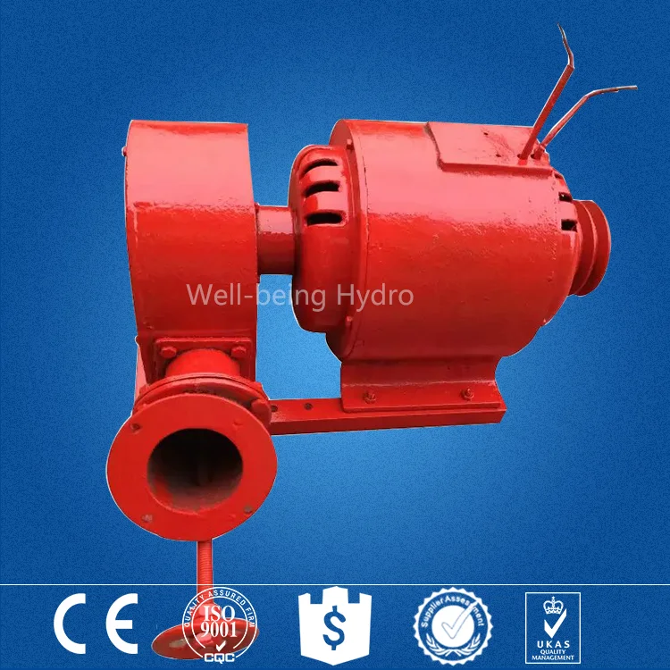 Китайская турбина micro pelton hidro