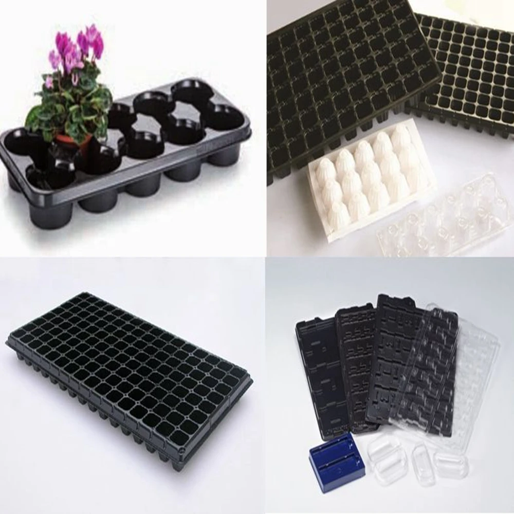 Plastic pet egg tray making machine price