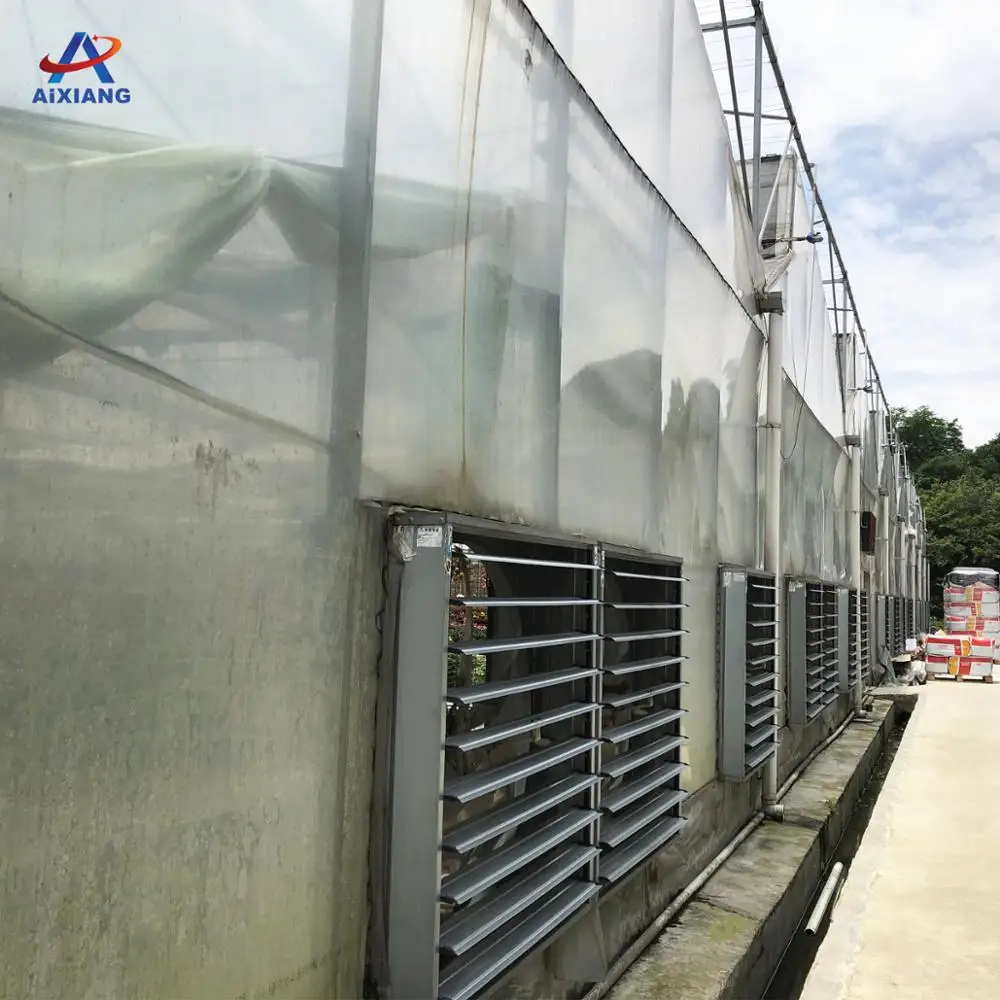 AiXiang 0,15 мм полиэтиленовой пленки/150 микрон пластиковый парник