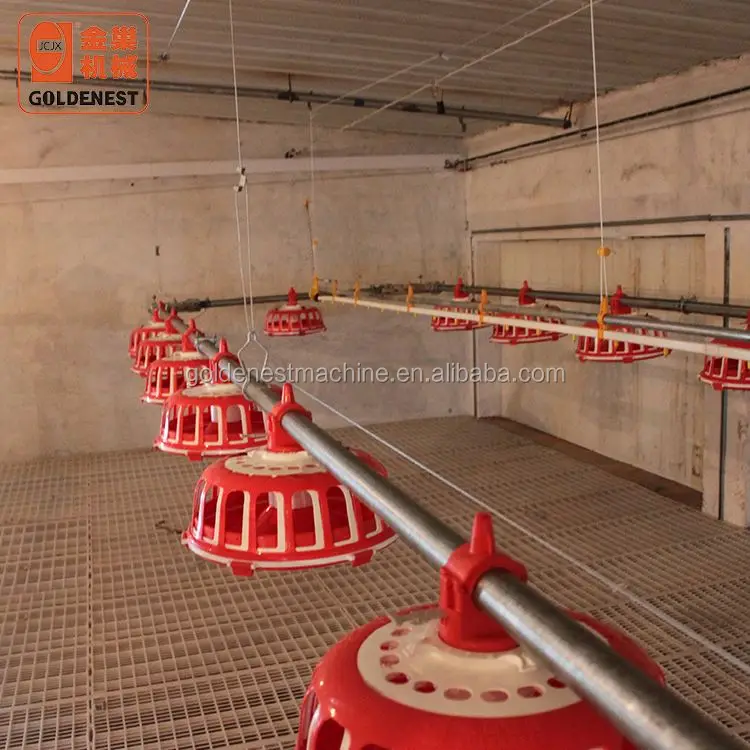 Goldenest Poultry breeder Chicken Breeding Machine Chicken egg poultry farm Equipment Automatic