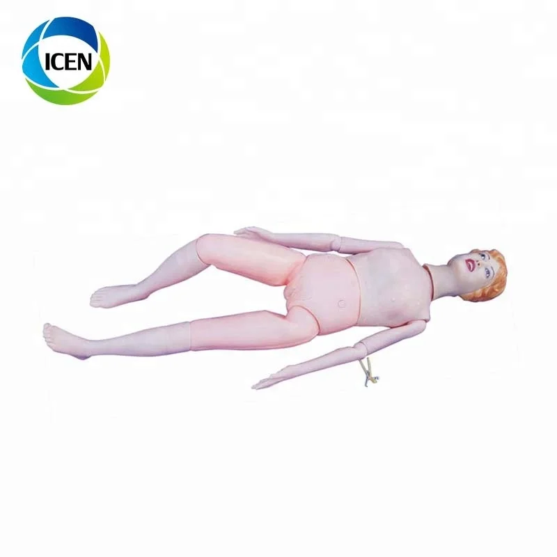 Пластмассовая многофункциональная анатомическая модель манекена для ухода за пациентами IN-401 обучения