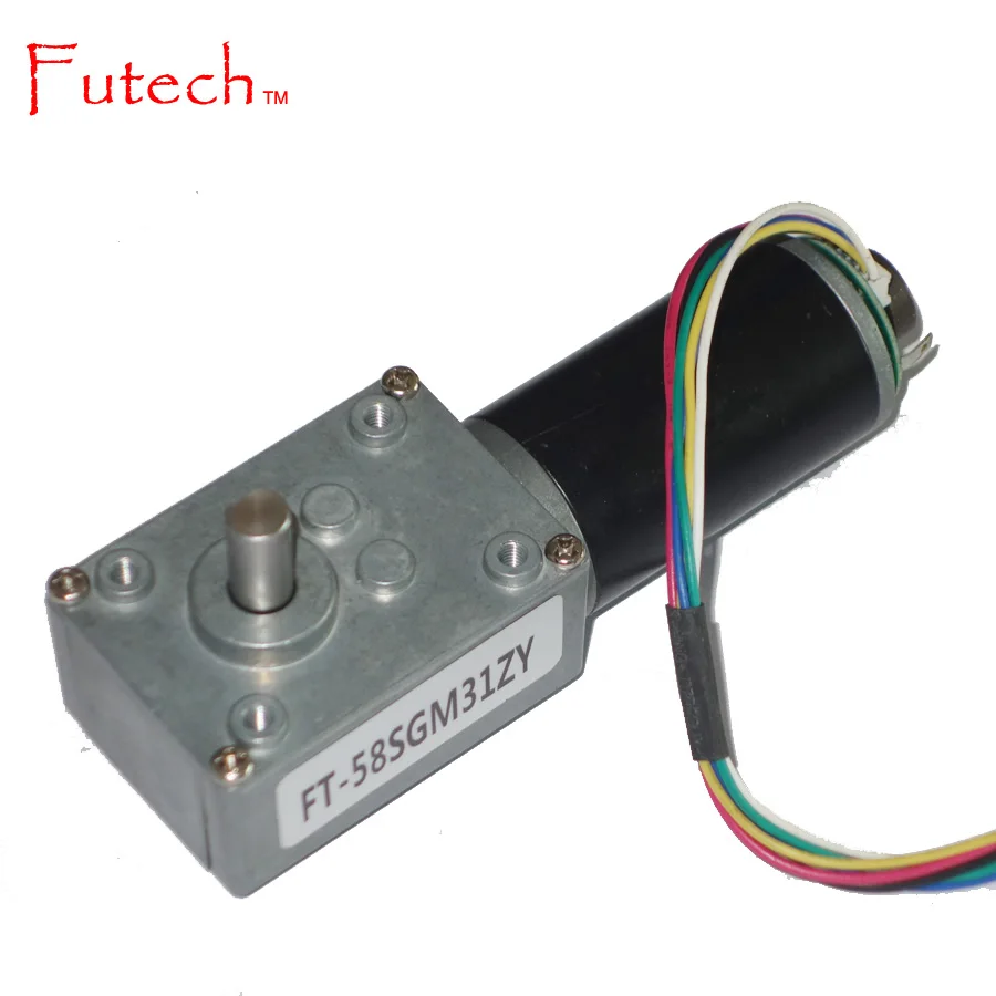 DC Worm Gear Encoder Motor