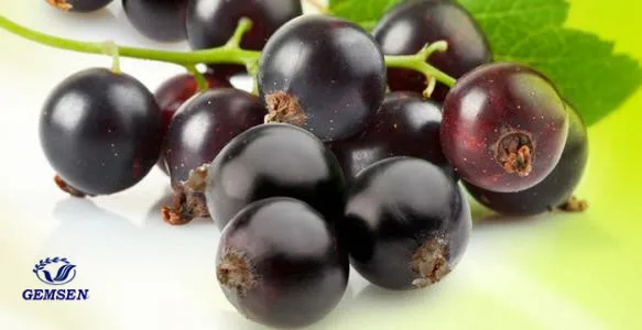 
Factory supply 25% 35% Anthocyanin Extract Anthocyanin powder Black Current Extract 